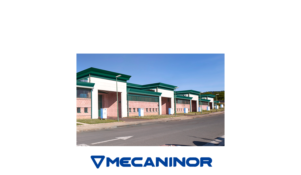 mecaninor + logo